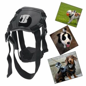 Harnais de poitrail pour caméra d'action pour chien