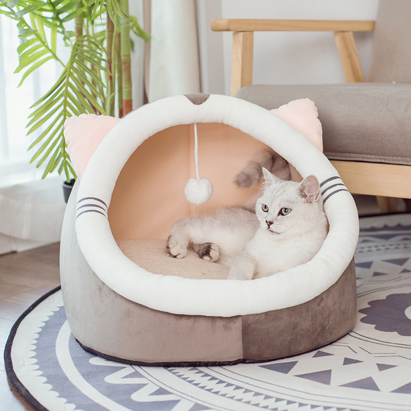 Chat
